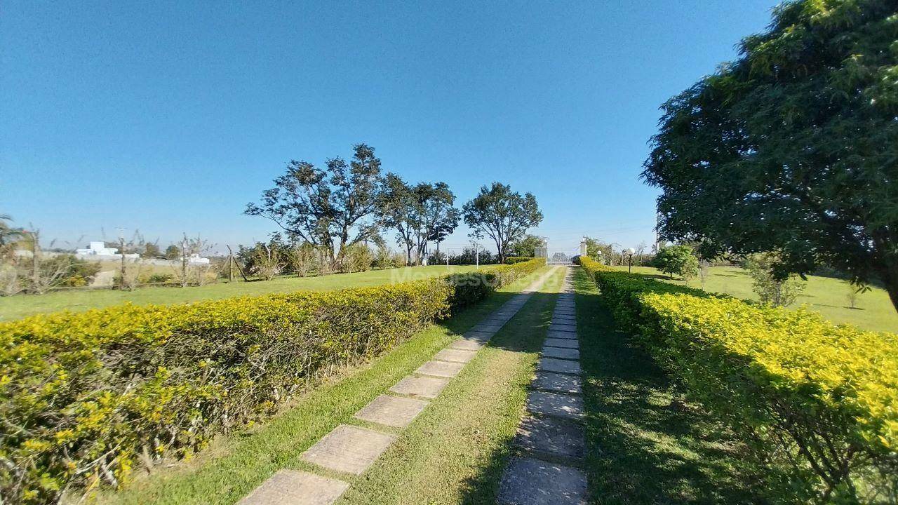 Terreno à venda, 2500M2 - Foto 19