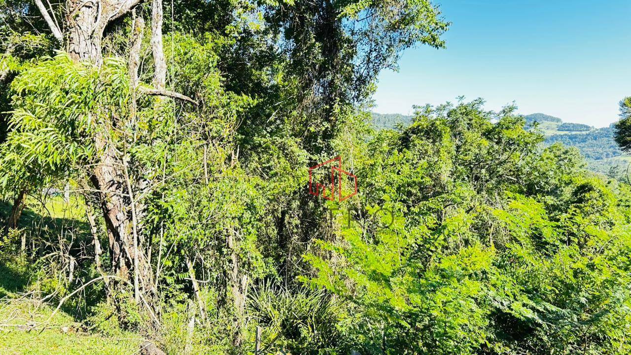 Sítio, 2 hectares - Foto 4