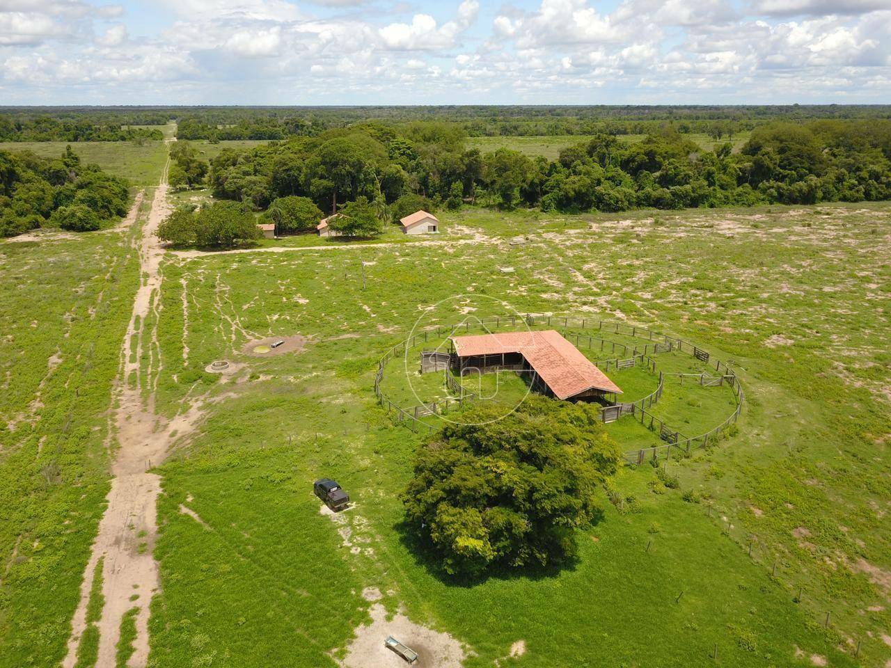 Fazenda-Sítio-Chácara, 1452 hectares - Foto 4