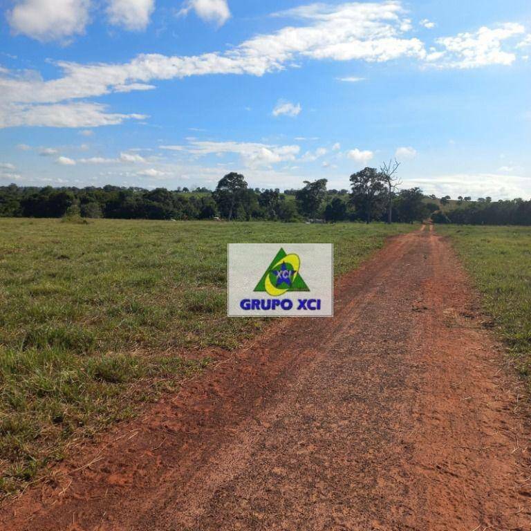 Fazenda à venda, 10000000M2 - Foto 2