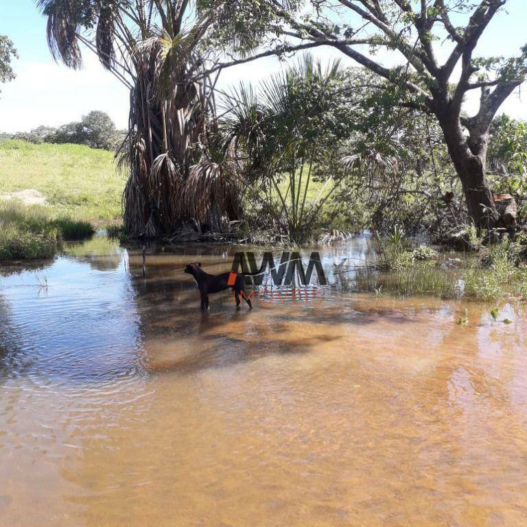 Fazenda à venda, 10551200M2 - Foto 2