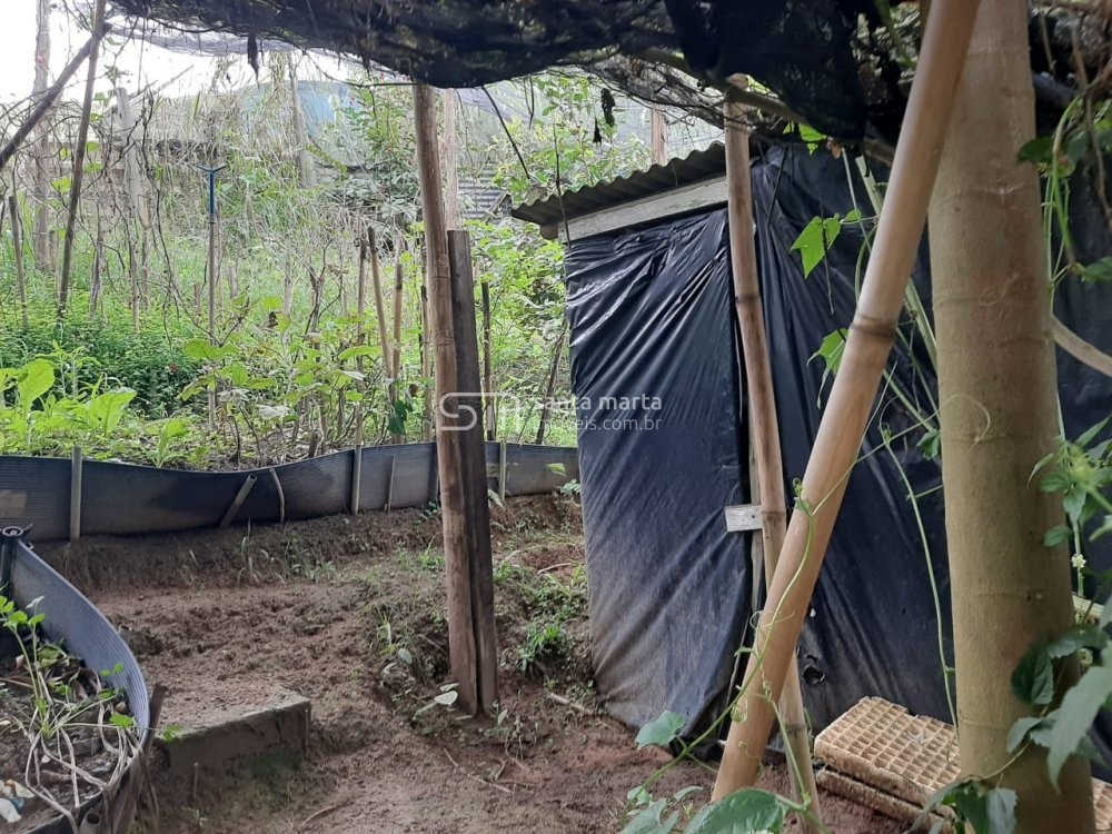 Fazenda à venda com 2 quartos, 150m² - Foto 19