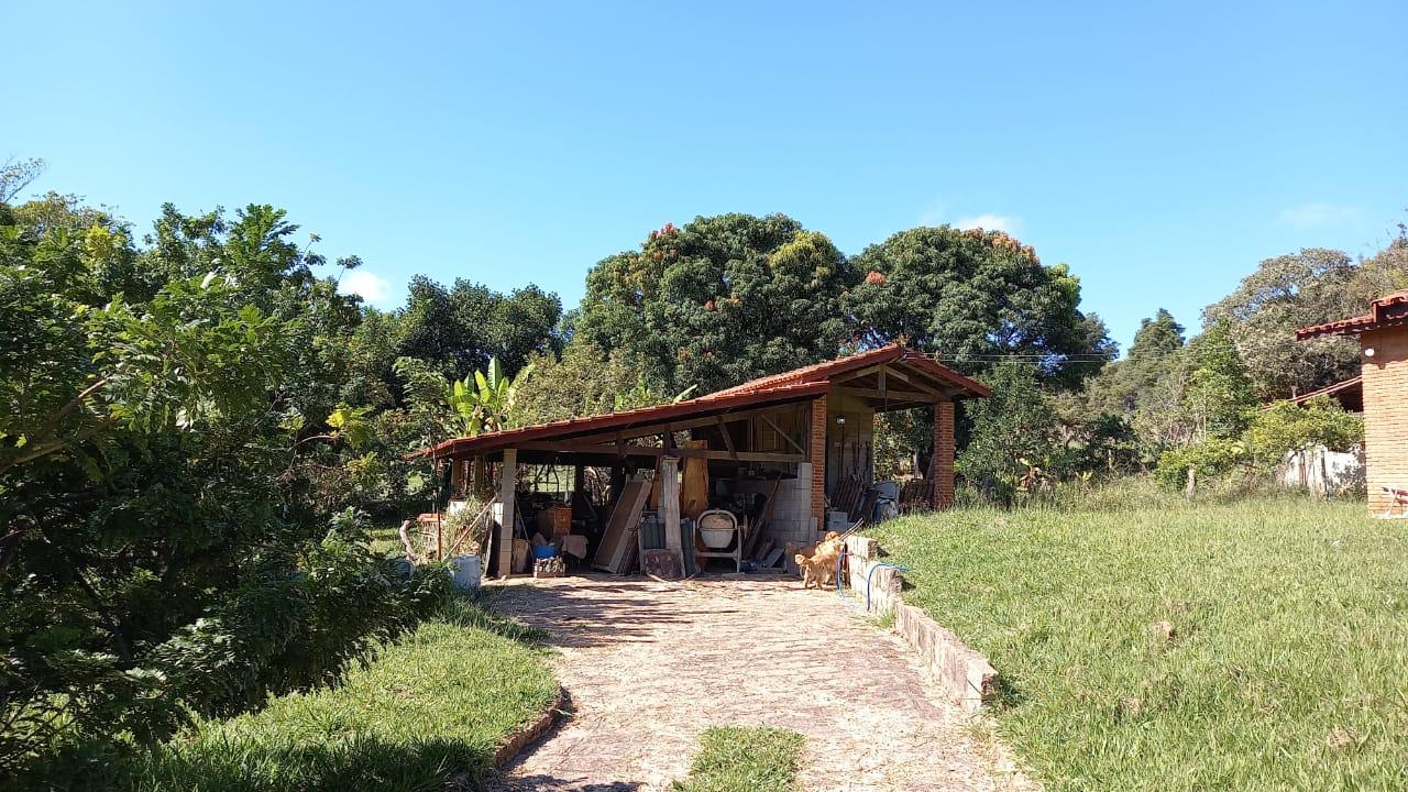 Fazenda à venda com 4 quartos, 1250m² - Foto 4