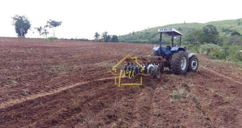 Fazenda à venda com 3 quartos, 1000m² - Foto 3