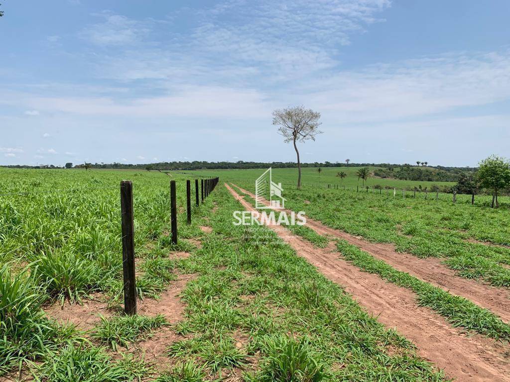 Fazenda-Sítio-Chácara, 257 hectares - Foto 2