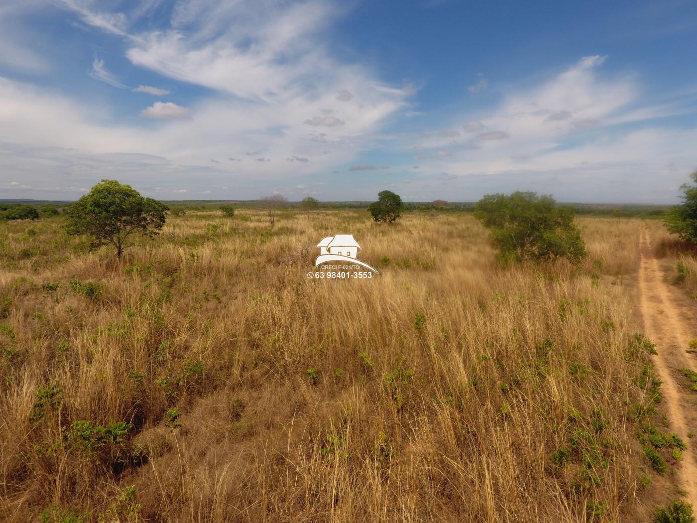 Fazenda à venda, 1m² - Foto 13