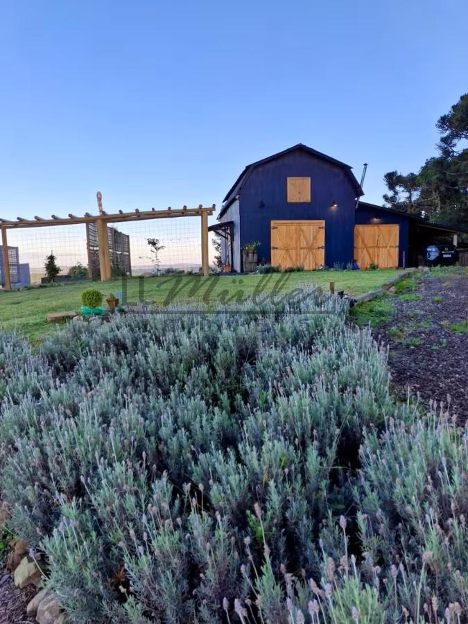 Sítio, 6 m² - Foto 4