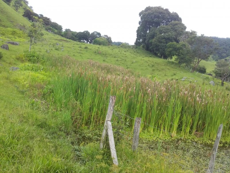 Terreno à venda, 24000m² - Foto 3