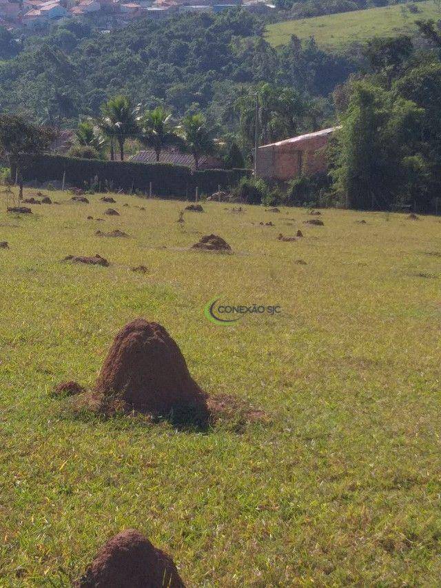 Sítio, 65 hectares - Foto 3