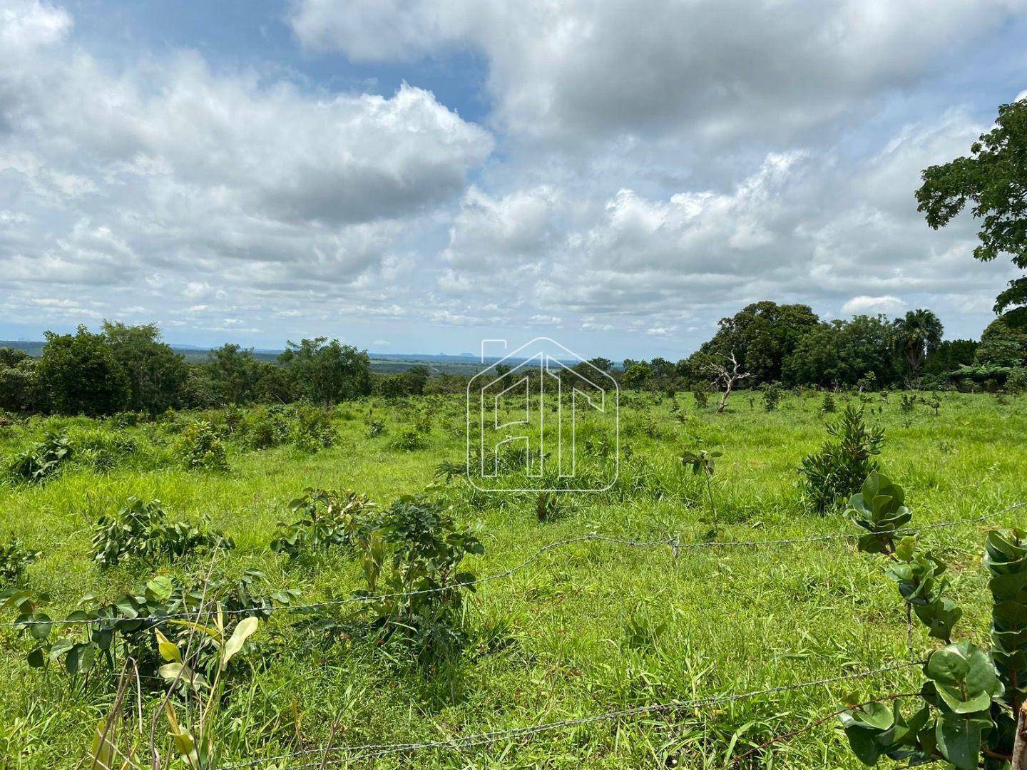 Fazenda à venda com 4 quartos, 40m² - Foto 10