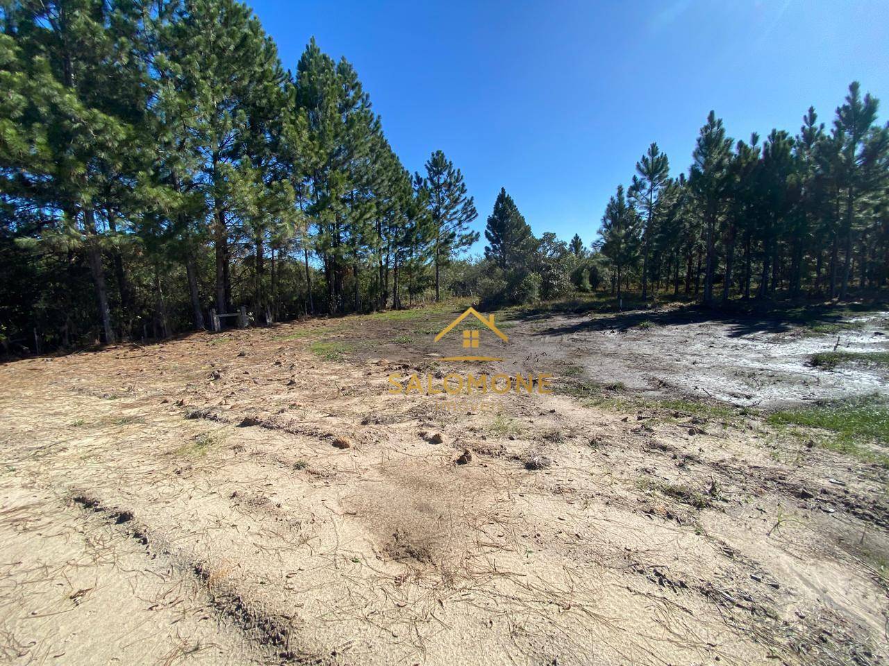 Terreno, 2 hectares - Foto 4