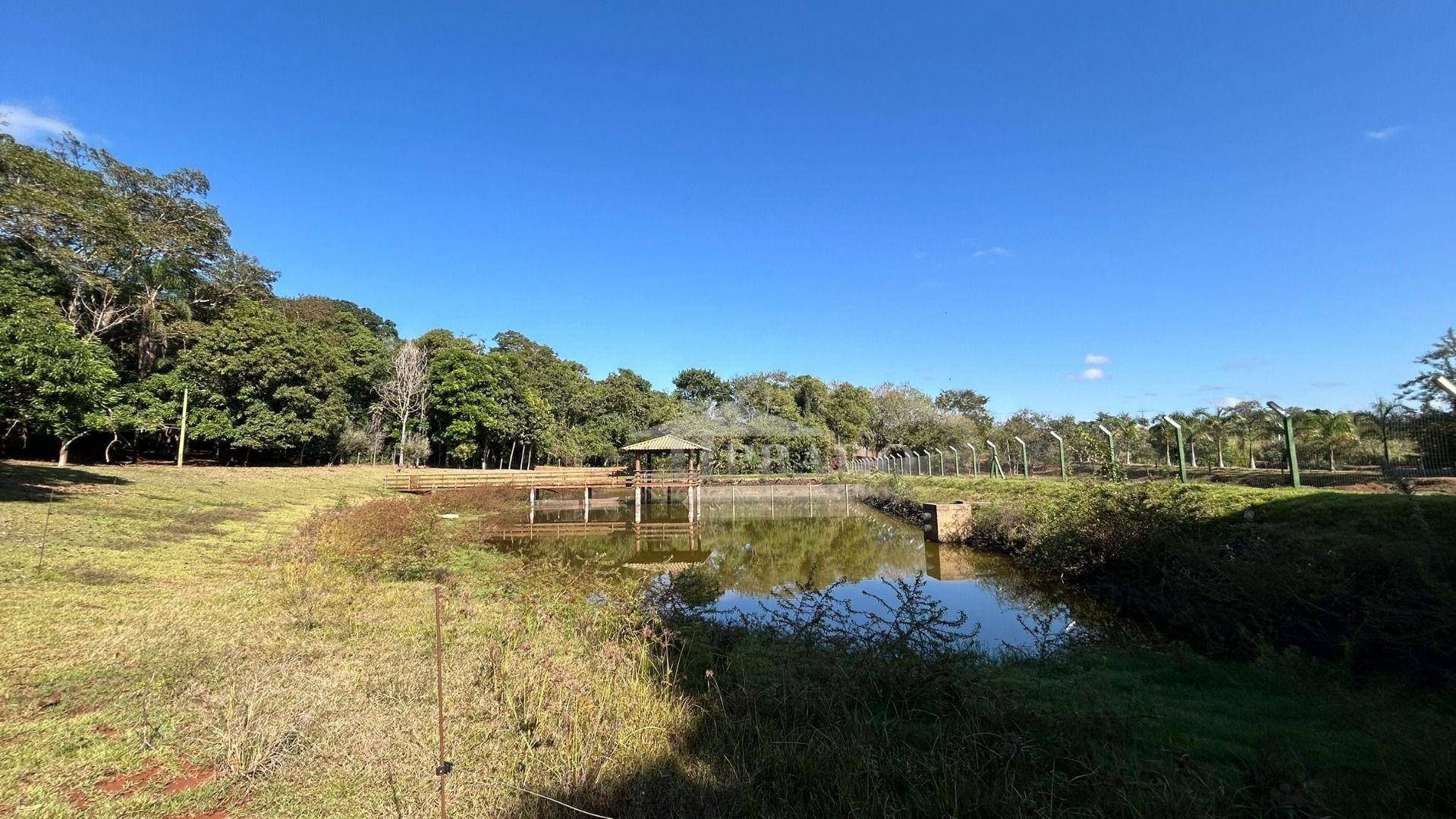 Sítio à venda com 6 quartos, 1100m² - Foto 4