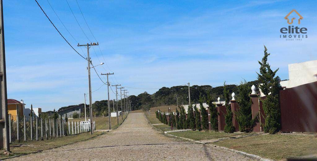 Chácara à venda com 1 quarto, 2800M2 - Foto 9