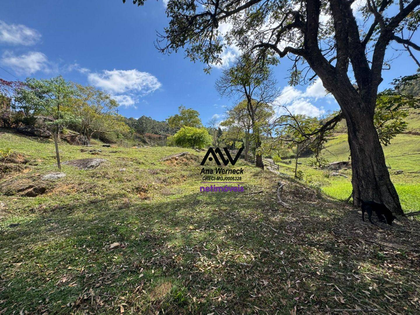 Terreno, 3800 m² - Foto 22