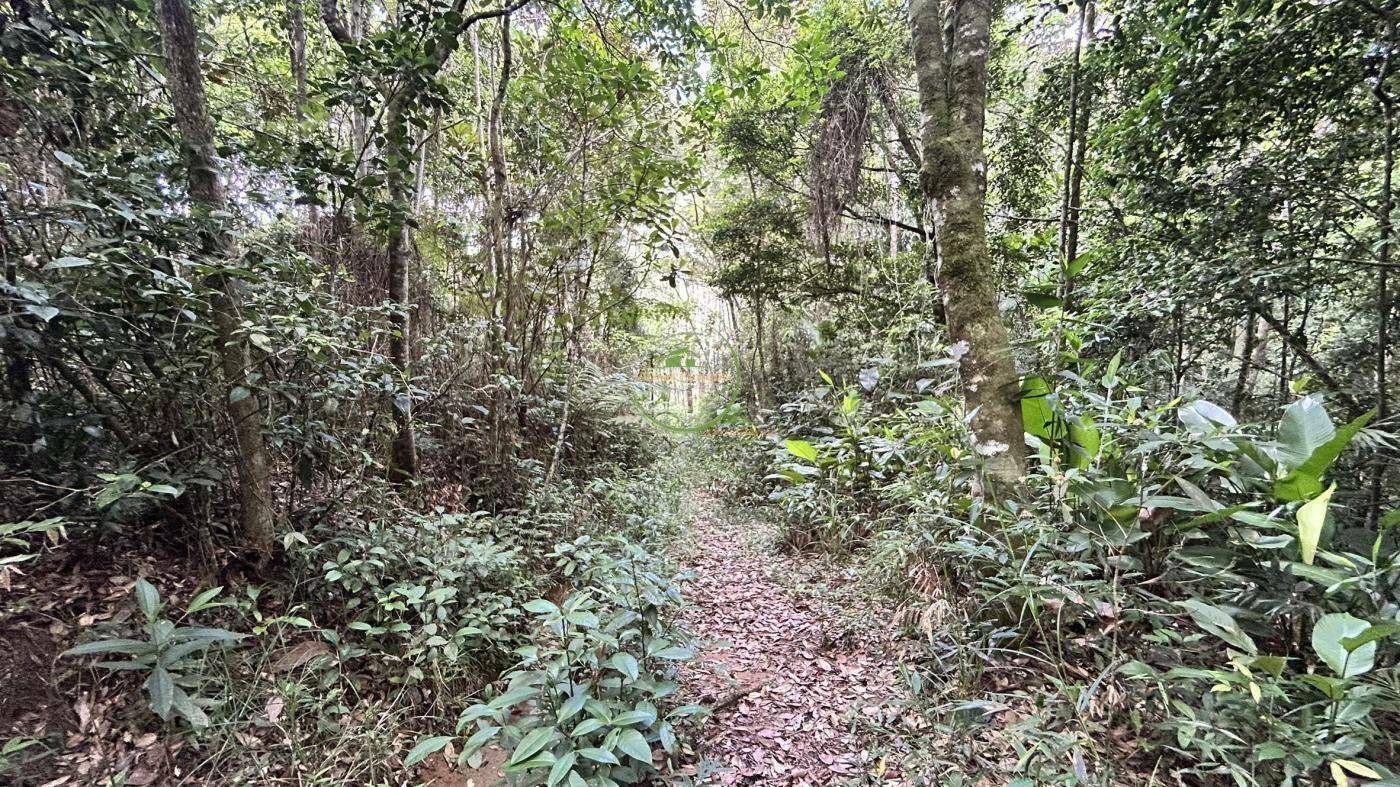 Sítio, 218 m² - Foto 3