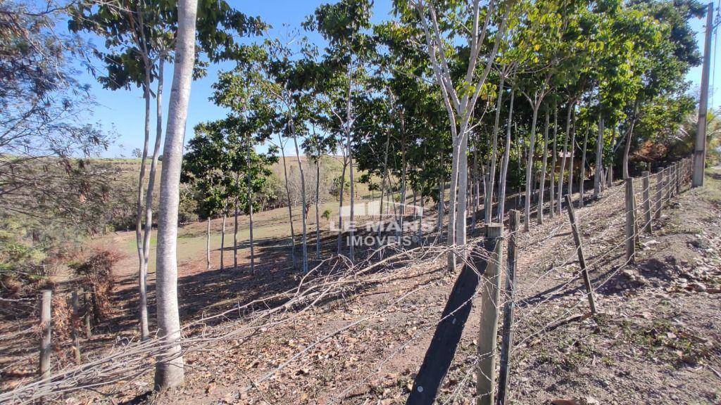 Sítio, 9 quartos, 2 hectares - Foto 51