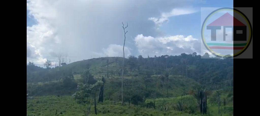 Fazenda à venda, 14036000M2 - Foto 8