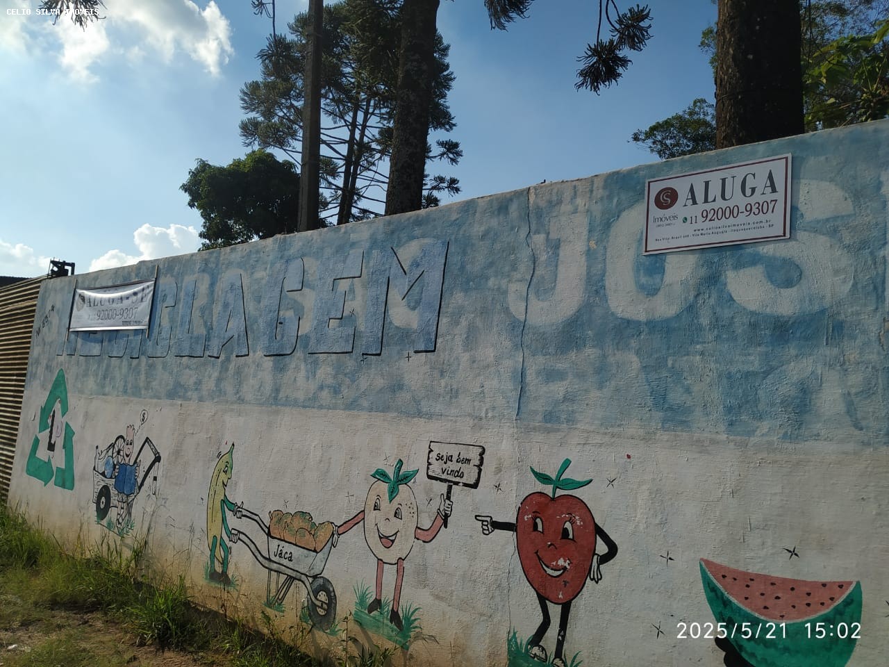 Terreno, 2116 m² - Foto 3