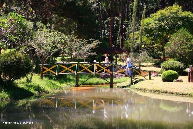 Terreno à venda - Foto 6