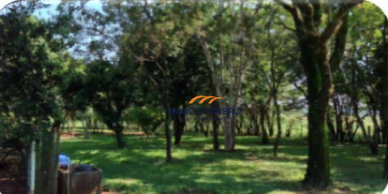 Fazenda-Sítio-Chácara, 3417 hectares - Foto 7