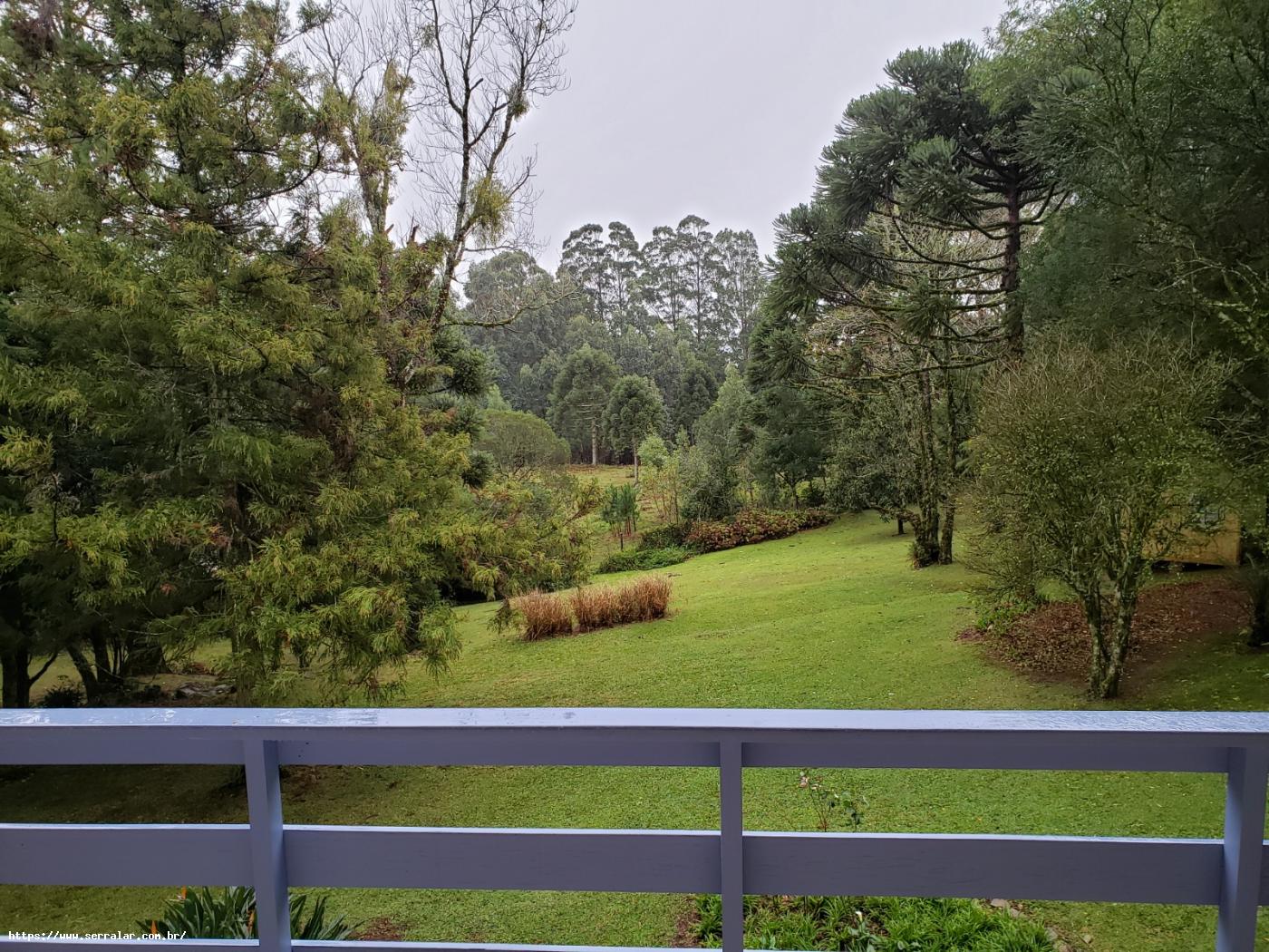 Fazenda à venda com 4 quartos, 15000m² - Foto 22