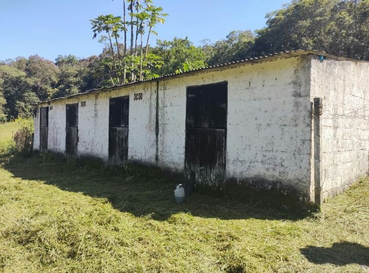 Fazenda à venda com 5 quartos, 24000m² - Foto 14