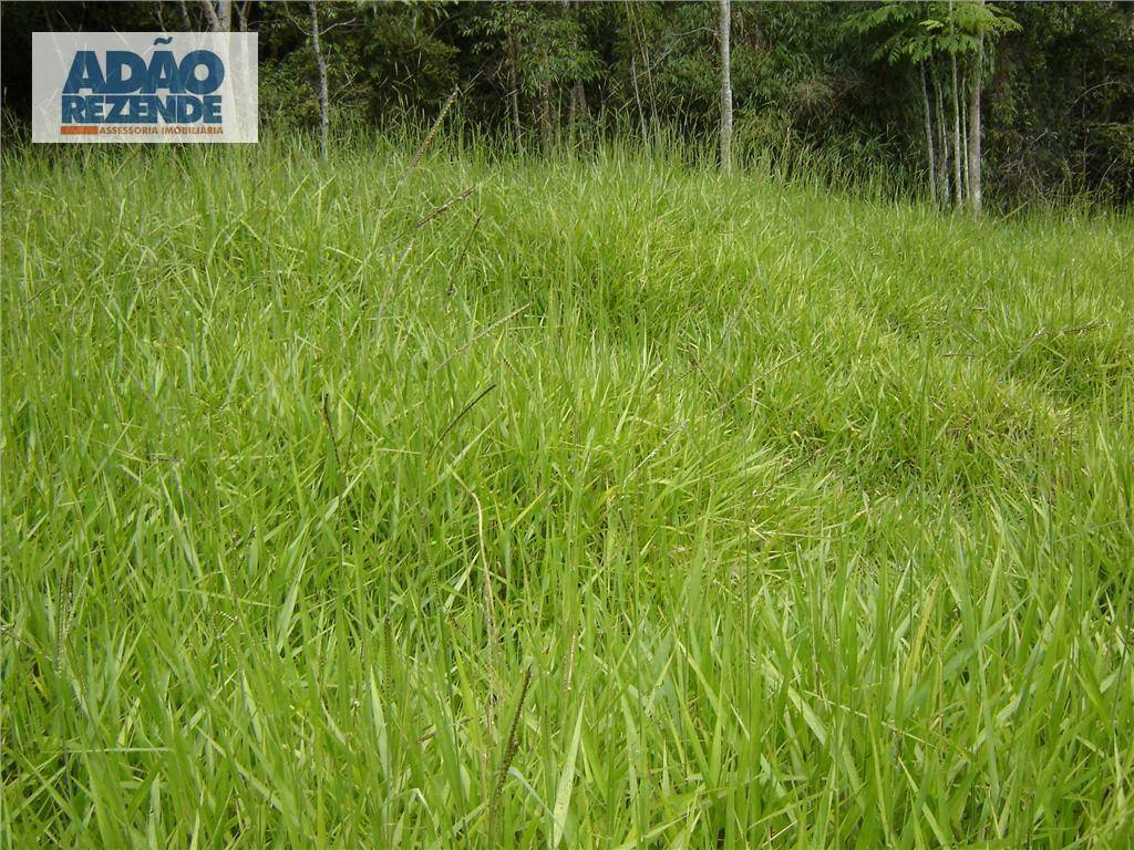 Fazenda à venda com 4 quartos, 1150000M2 - Foto 25