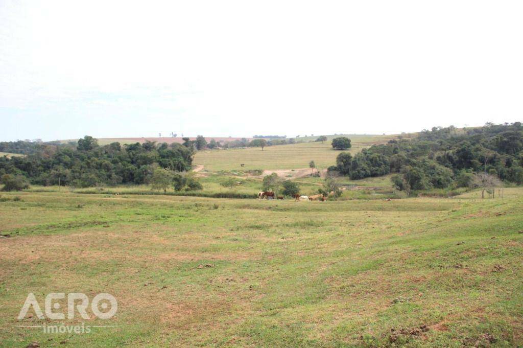 Fazenda à venda com 3 quartos, 400m² - Foto 31