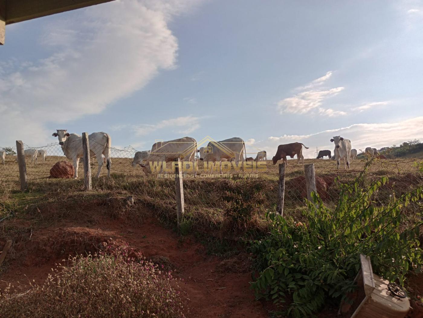 Fazenda à venda com 2 quartos, 4m² - Foto 1