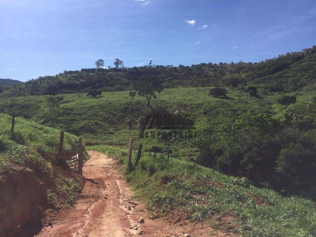 Fazenda à venda, 5469200M2 - Foto 37