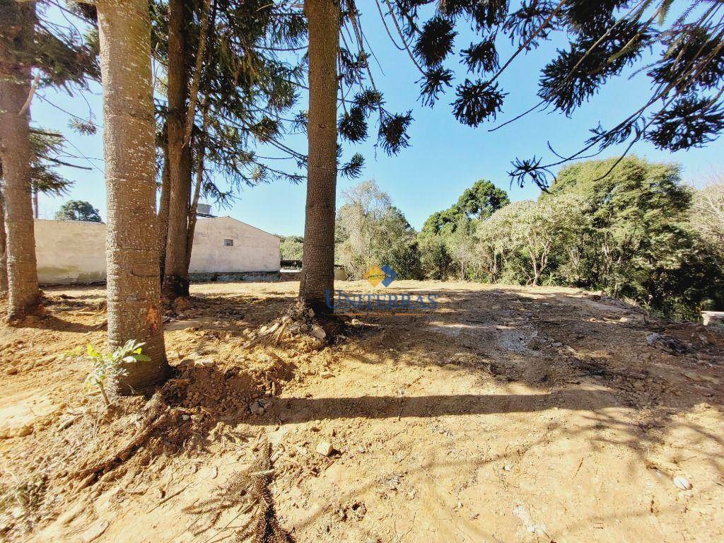 Terreno à venda, 182M2 - Foto 8