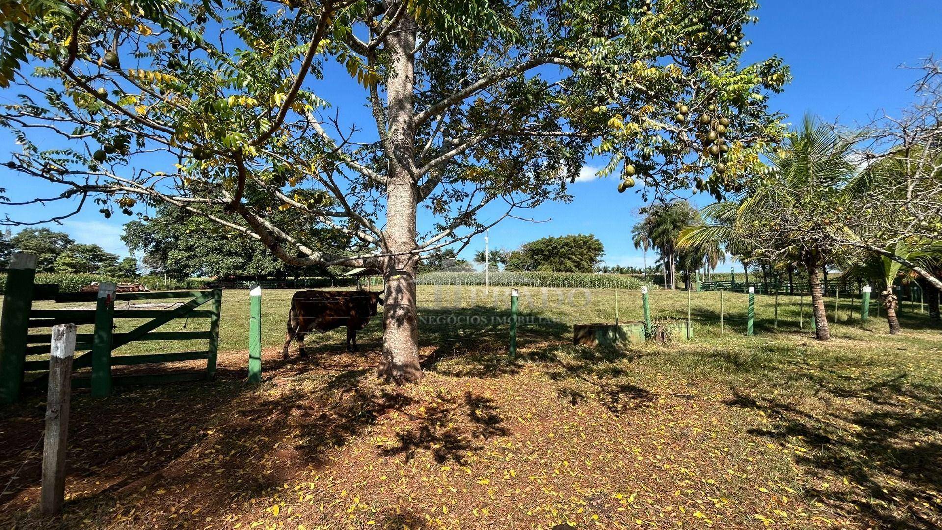 Sítio à venda com 6 quartos, 1100m² - Foto 75