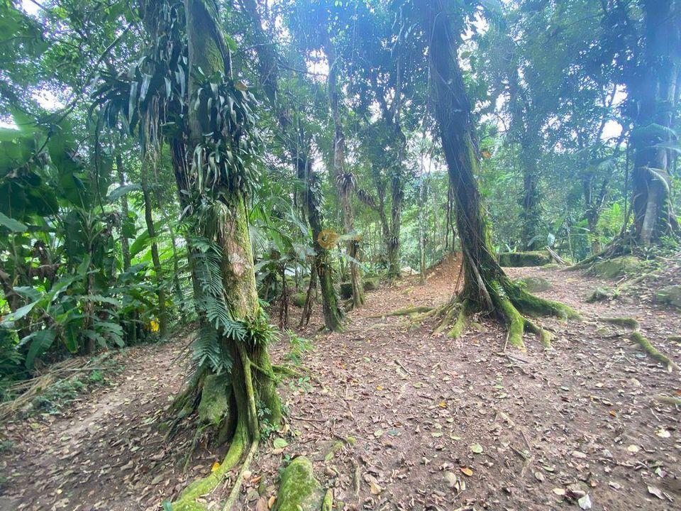 Casa de Condomínio à venda com 3 quartos, 1680m² - Foto 6