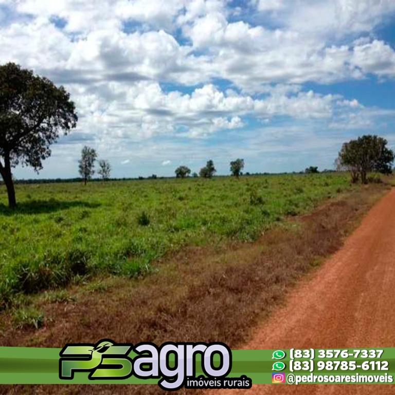 Fazenda à venda, 430000M2 - Foto 6