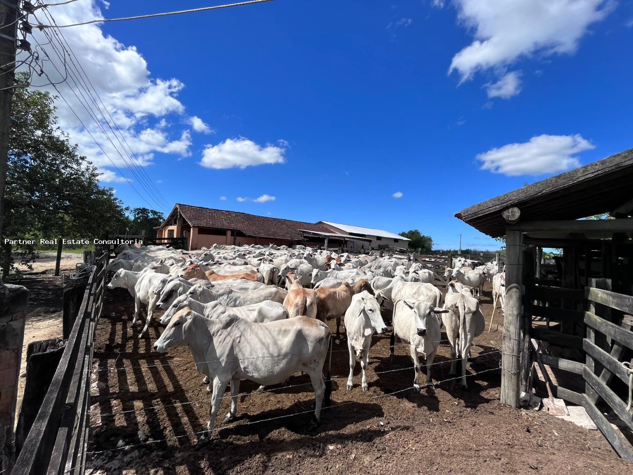 Fazenda à venda com 3 quartos, 52m² - Foto 16