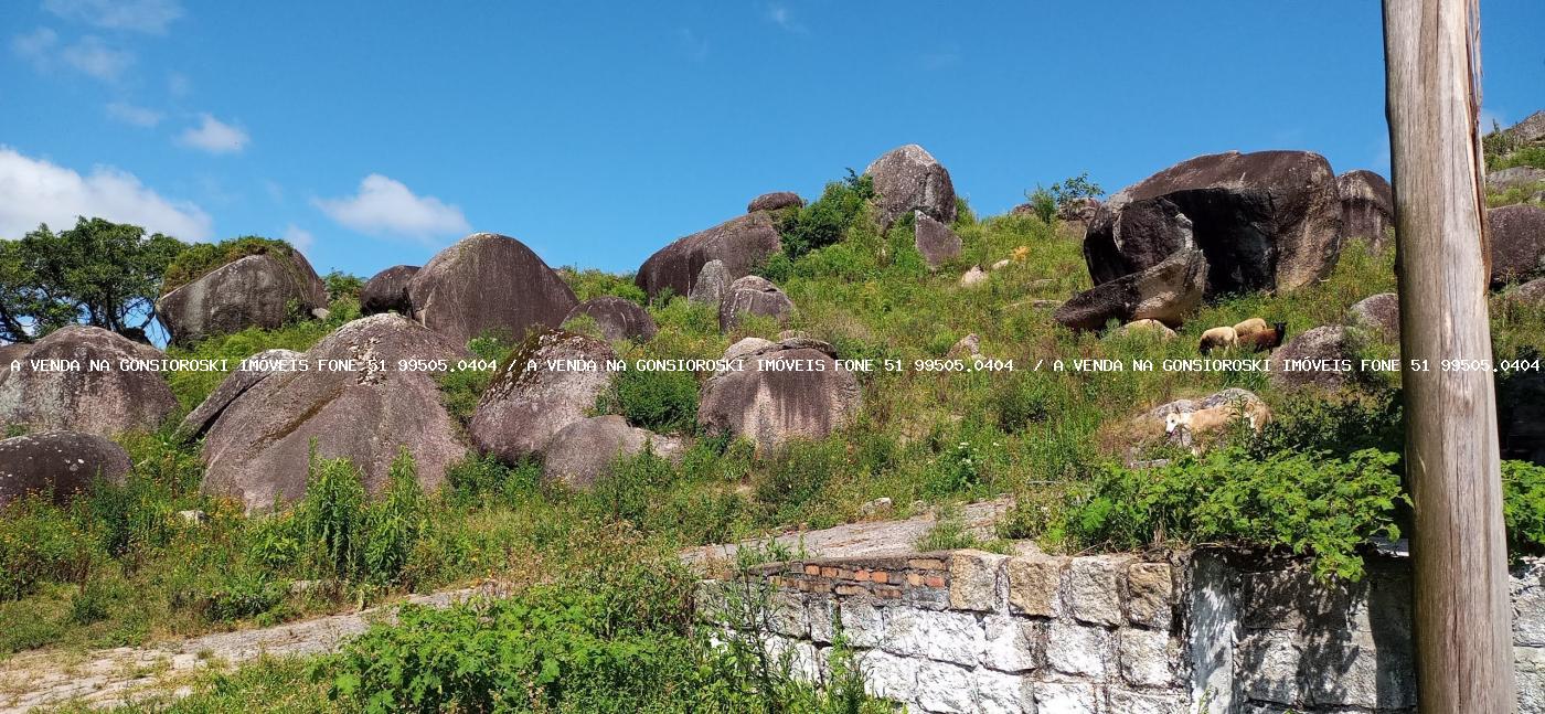 Fazenda à venda com 2 quartos, 600000m² - Foto 47