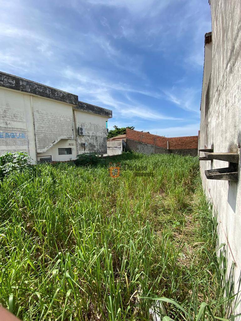 Terreno, 366 m² - Foto 6