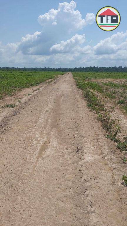 Fazenda à venda, 111320000M2 - Foto 8