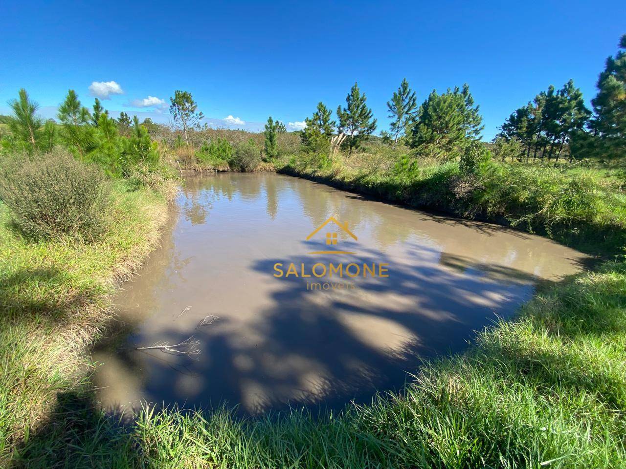 Sítio, 2 quartos, 10000 m² - Foto 4