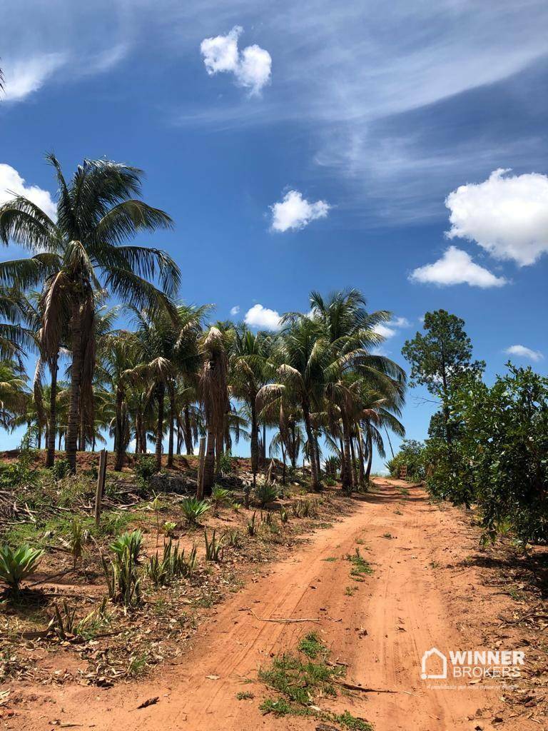 Chácara, 3 quartos, 2 hectares - Foto 5