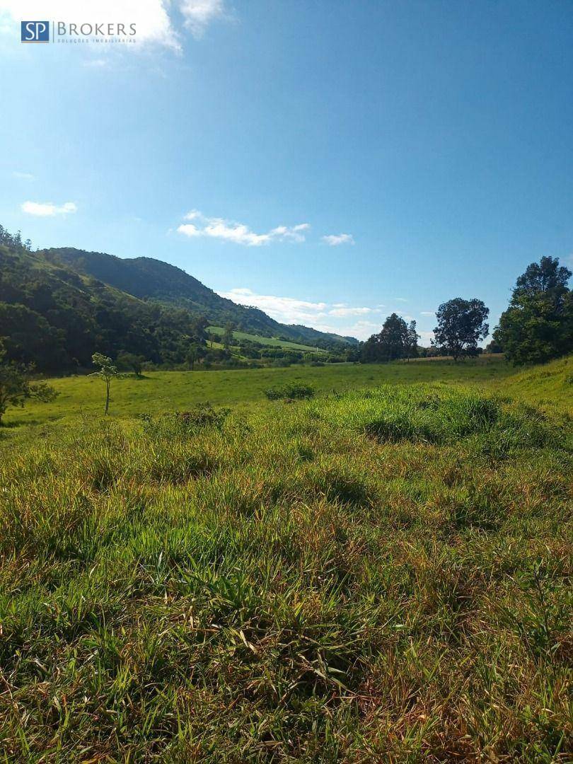 Fazenda à venda com 4 quartos, 400m² - Foto 7