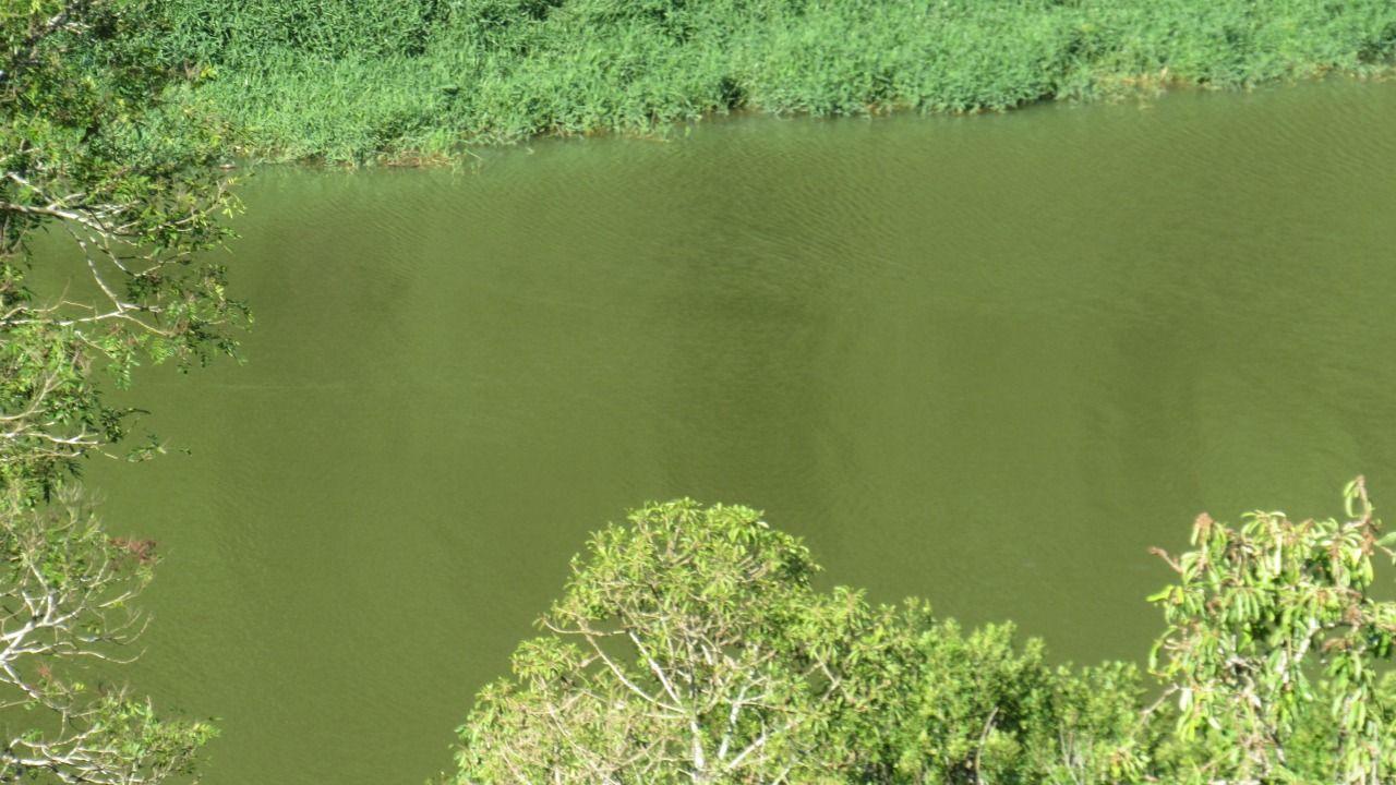 Fazenda à venda com 3 quartos, 7500m² - Foto 10