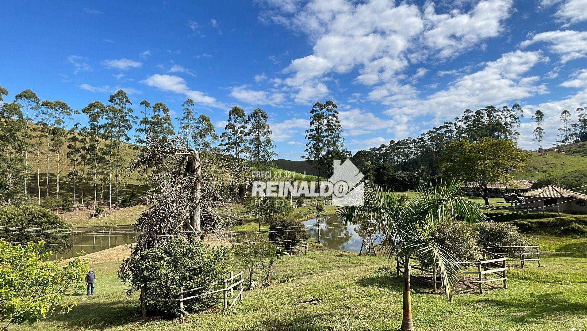 Fazenda à venda com 8 quartos, 900m² - Foto 101