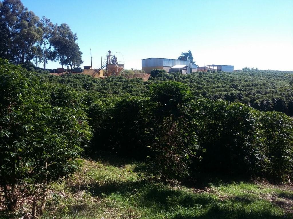 Fazenda-Sítio-Chácara, 800 hectares - Foto 2