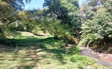 Fazenda à venda com 3 quartos, 200000m² - Foto 7