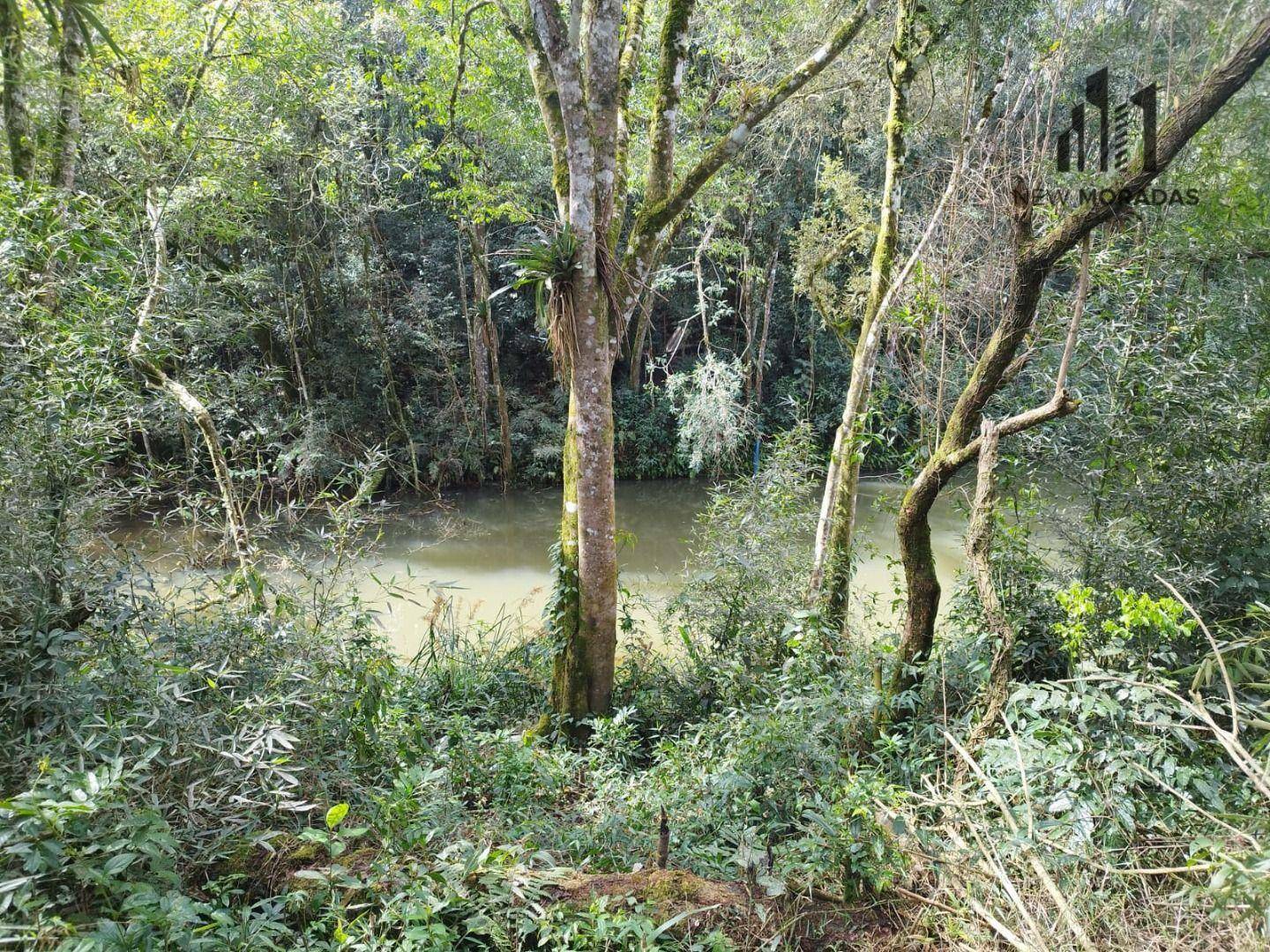 Chácara à venda, 50882M2 - Foto 12