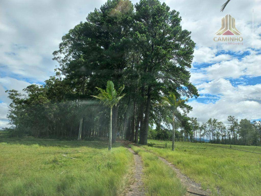 Fazenda à venda, 600000M2 - Foto 17