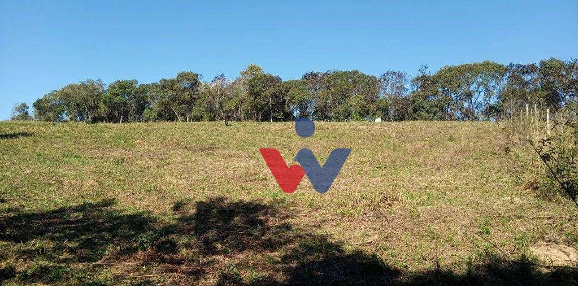 Terreno à venda, 23700M2 - Foto 5