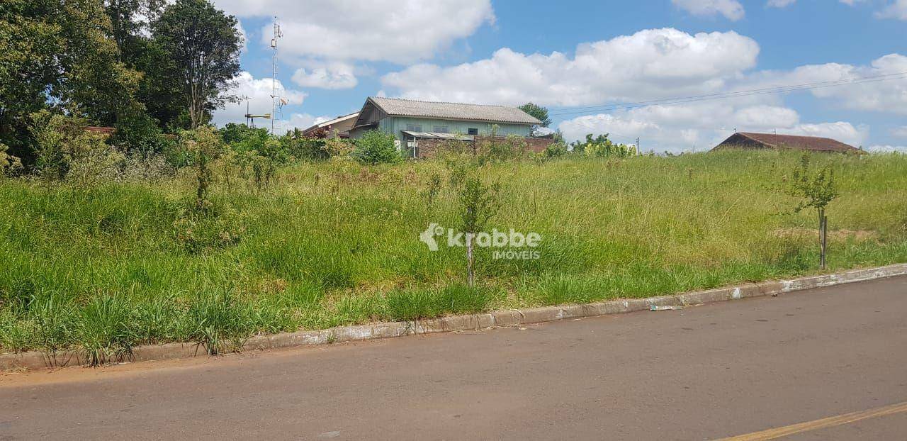 Terreno à venda, 326M2 - Foto 3