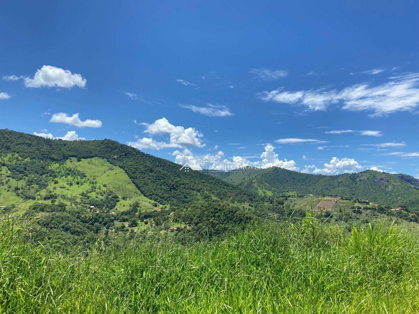 Terreno à venda, 5000M2 - Foto 2